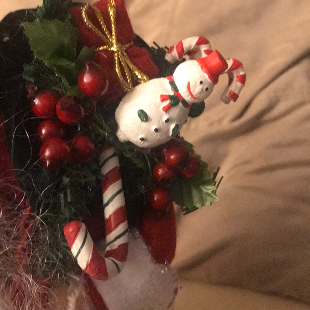 Santa Claus - Picture 2 of 8